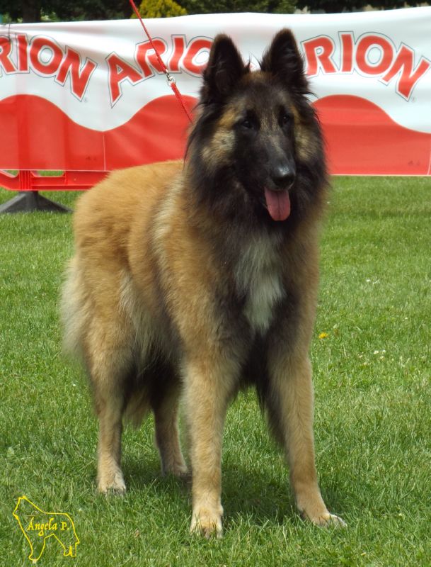 Mil amores Du Bois Du T�t ExC 2 abierta hemrbas